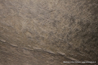 otta di Serracozzo-05-08-2014 12-06-08